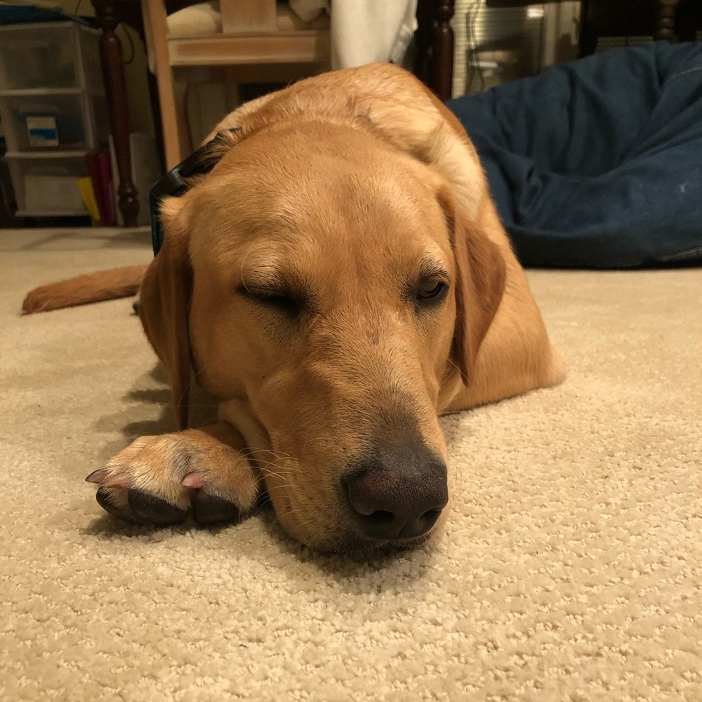 Meet your Posher, Tina